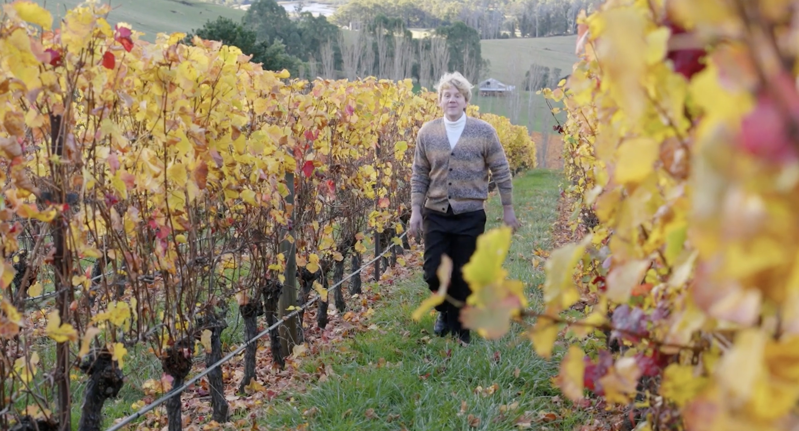 Aussies invited to swap their day job for an ‘Odd Job’ in Tourism Tasmania campaign via HAVAS Red
